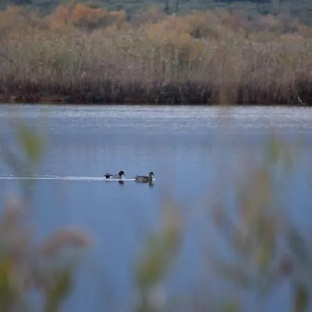 Nafplio, Hill With An Amazing View * Ναύπλιο