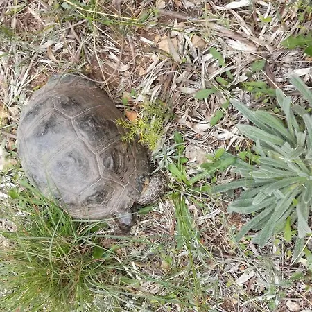 Διαμέρισμα Nafplio, Hill With An Amazing View *