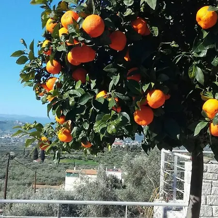 Nafplio, Hill With An Amazing View * Nafplio