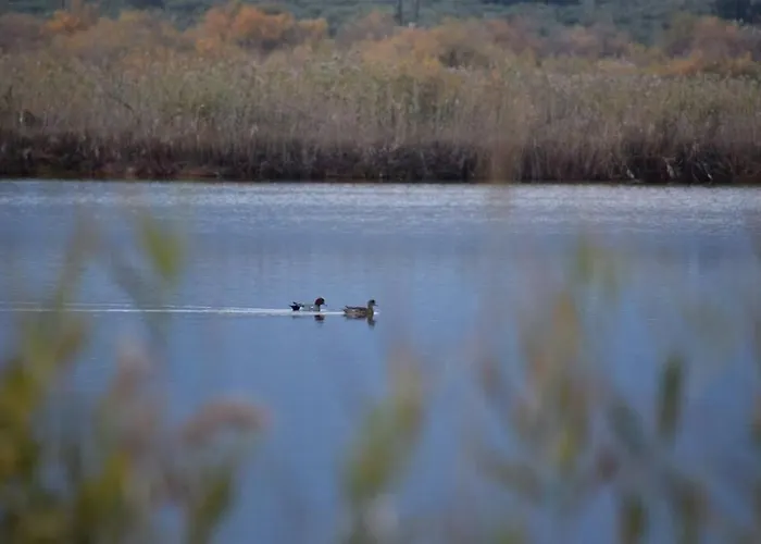 Nafplio, Hill With An Amazing View * Nafplio