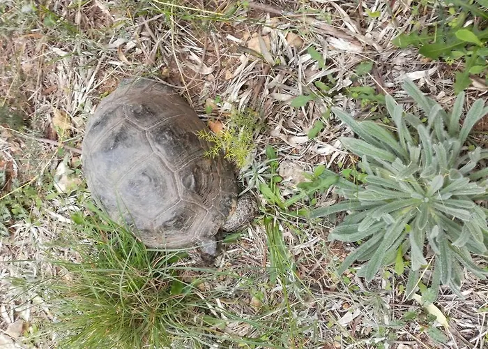 아파트 Nafplio, Hill With An Amazing View *